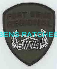 TEXAS,A,FORT BEND COUNTY REGIONAL SWAT SUBDUED 1